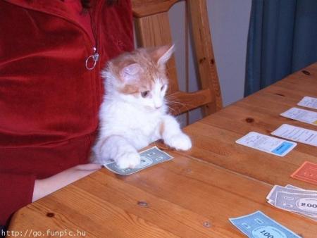 La partie de monopoly